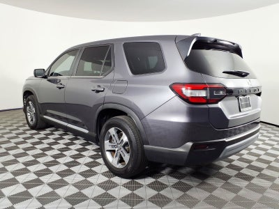 2024 Honda Pilot EX-L 8 Passenger
