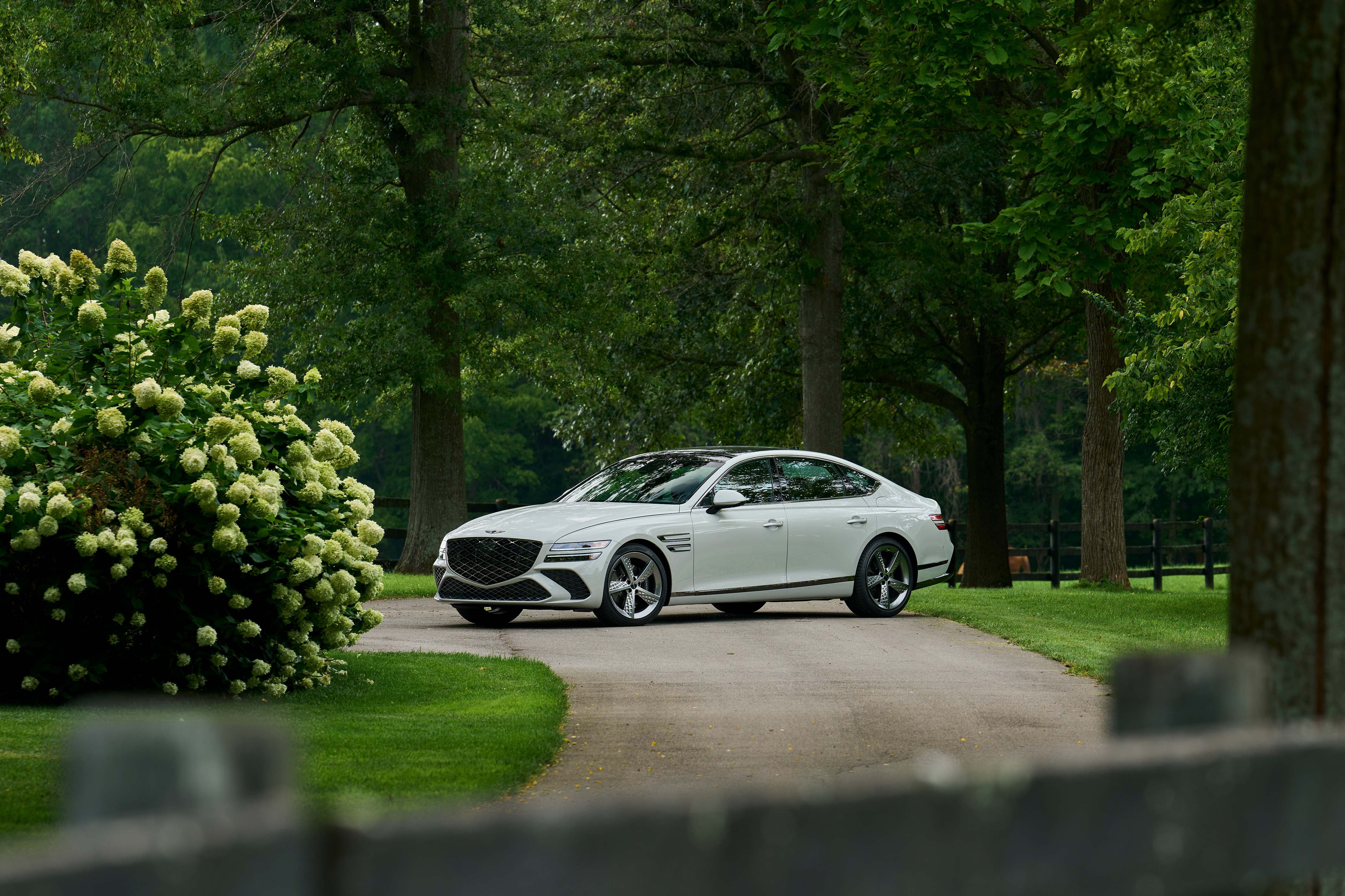 A sleek, white Genesis G80 is parked on a gravel driveway surrounded by lush greenery.
